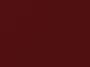 Porsche All Models Rubin Red Metallic 2010 LM3X