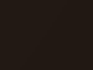 Dodge All Models Black Gold Pearl 2014 LUG, PUG - Scratch Repair