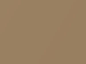 Porsche All Models Luxorbeige Metallic 2014 LM1S, M1S