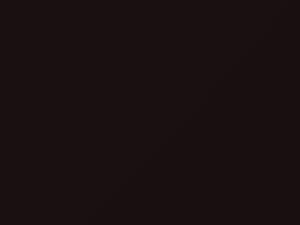 Mercury Mariner Black Cherry Ice Metallic 2009 HM, M7201A - Scratch Repair