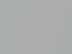 Toyota All Models Light Gray Pearl 2011 1A7