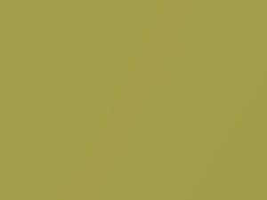 Nissan All Models Yellow Green 2001 JP1