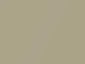 Kia All Models Champagne Gold Metallic 2012 N1