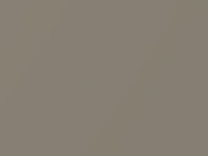 Nissan All Models Sand Beige Metallic 2007 C12 - Scratch Repair