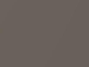 BMW 3 Series Kalahari Beige Metallic 2016 481