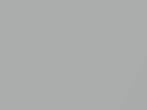 Subaru All Models Quick Silver Metallic 1995 262
