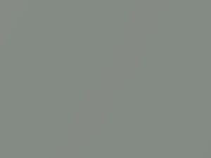 Toyota All Models Gin Buck Metallic 2011 1J1