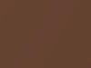 Infiniti All Models Golden Ginger Pearl 2019 CAH