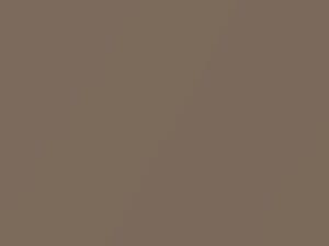 Chevrolet All Models Light Autumnwood Metallic 1999 228A, 55, WA160A, WA228A - Scratch Repair