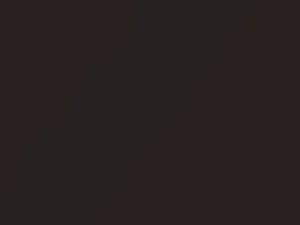 Nissan All Models Slate Brown Metallic 1993 CK5 - Scratch Repair