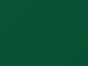 Mercury All Models Competition Green 1970 M3658A, Z - Scratch Repair