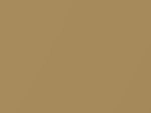 Chevrolet All Models Inca Gold Metallic 2011 124B, 97, WA124B