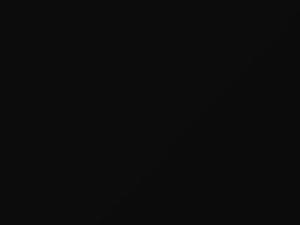 Tesla All Models Sierra Black 2012 NEU105E