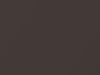Suzuki All Models Gaia Bronze Pearl 2015 ZUG