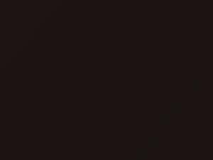 Suzuki All Models Bison Brown 2 Metallic 2018 ZUF