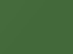 Toyota All Models Green Metallic 2013 6W0