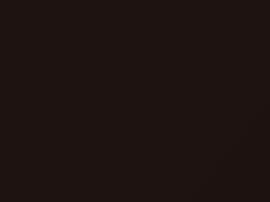 Chevrolet All Models Deep Espresso Brown Metallic 2015 204V, GYO, WA204V - Scratch Repair