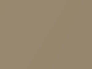 Chevrolet All Models Sandalwood Tan Metallic 1966 3484, T, WA3484 - Scratch Repair