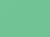 AMC All Models Palisade Green 1963 P46