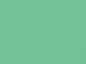 AMC All Models Palisade Green 1963 P46 - Scratch Repair