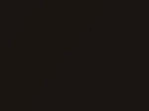 Suzuki All Models Bison Brown Metallic 2016 ZUC