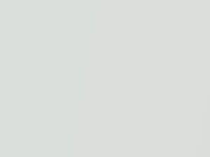 Tesla All Models White Water Pearl 2020 NEU101E, PPSW