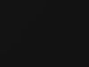 Ford F350 Blackout 2010 M6388G, YGYA