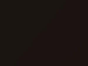 BMW 2 Series Sparkling Brown Metallic 2014 B53