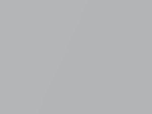 Volkswagen All Models Silber Metallic Matte/Silber Metallic Mattet 1988 41