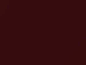 Suzuki XL6 Auburn Red Pearl 2019 ZYY