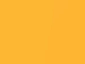 Lotus All Models Spice Yellow Pearl 2001 111911