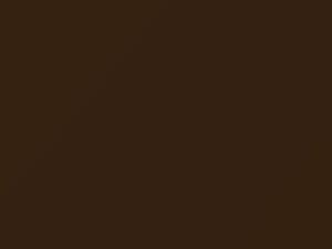 Nissan All Models Woodland Brown Metallic 2019 CNA - Scratch Repair