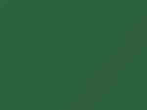 Dodge Ram Light Green 2019 PGC - Scratch Repair