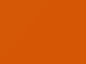 Dodge All Models School Bus Yellow 2013 PL1 - Scratch Repair