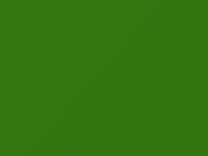 Dodge Promaster Green Angles 2021 P06 - Scratch Repair