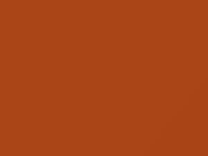 Dodge All Models Power Tan 2019 P81 - Scratch Repair