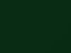 Dodge Ram Tree Green 2020 P73