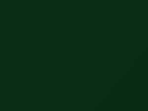 Dodge Fleet Tree Green 2014 P73