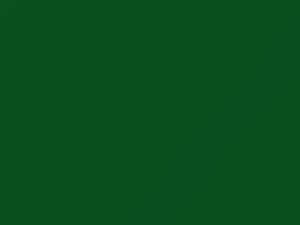 Dodge Fleet Bright Green 2012 P68