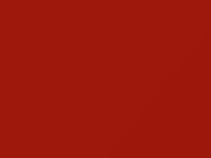 Ford F150 Orange 2015 W5685, WT5685 - Scratch Repair