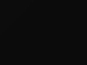 Volkswagen All Models Black 1958 L041