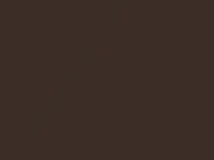 Toyota All Models Oak Brown Metallic 2018 KCM