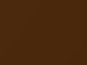 Audi All Models Ipanema Brown Metallic 2010 7V, 7V7V, LY8Y, Y8Y