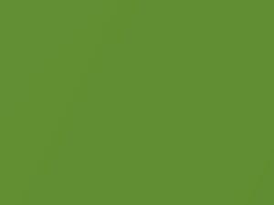 Toyota All Models Luminous Green Metallic 2014 6W5