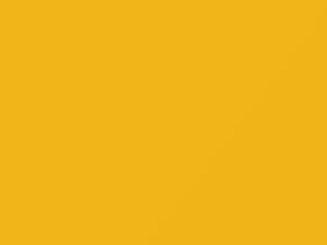 Nissan Esq Solar Yellow Pearl 2019 EAV - Scratch Repair