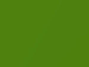 Dodge All Models Stryker Green Pearl 2015 MG7, PG7 - Scratch Repair