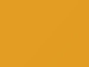 Volkswagen All Models Spectralgelb 2006 1X, 1X1X, L1Q, LL1Q - Scratch Repair