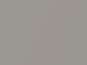 Audi R8 Sahara Silver Metallic 2006 9T, 9T9T, 9TPA, LX7X