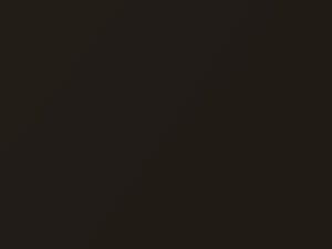 Volkswagen Fox Verde Highway Pearl 2006 I8V, LI8V, Y6