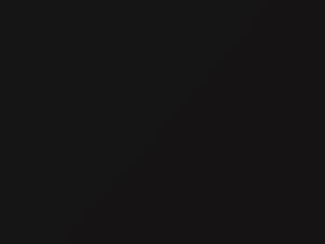 BMW 7 Series Citrinschwarz Metallic 2009 X02 - Scratch Repair